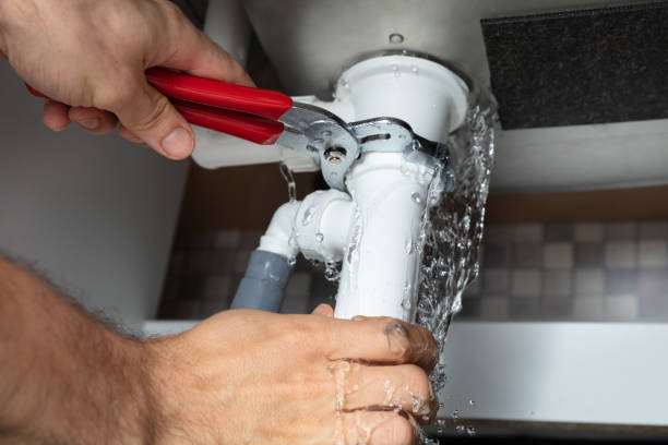 Best Flooded house restoration  in Gray, TN