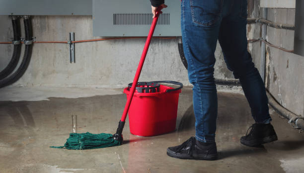 Best Ceiling water damage repair  in Gray, TN