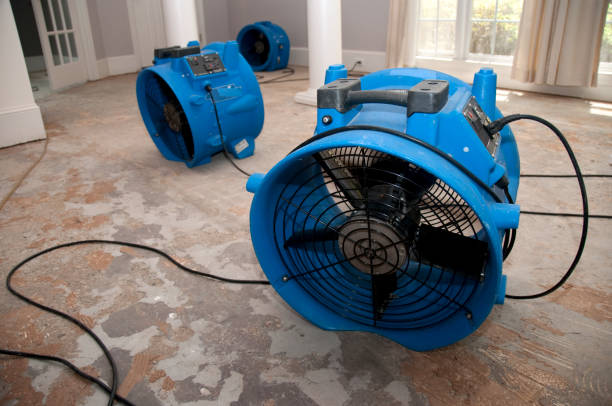 Best Ceiling water damage repair  in Gray, TN