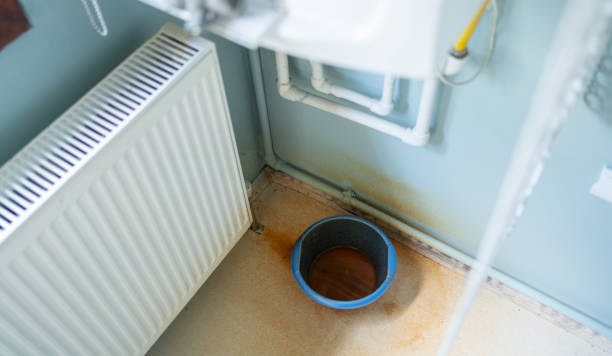 Best Mold removal after water damage  in Gray, TN