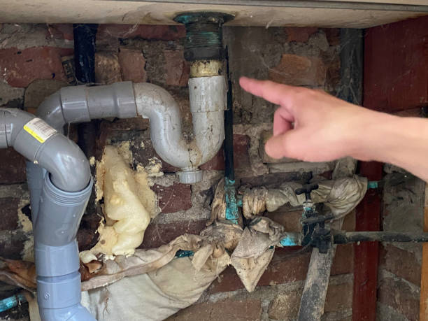 Best Water damage restoration near me  in Gray, TN